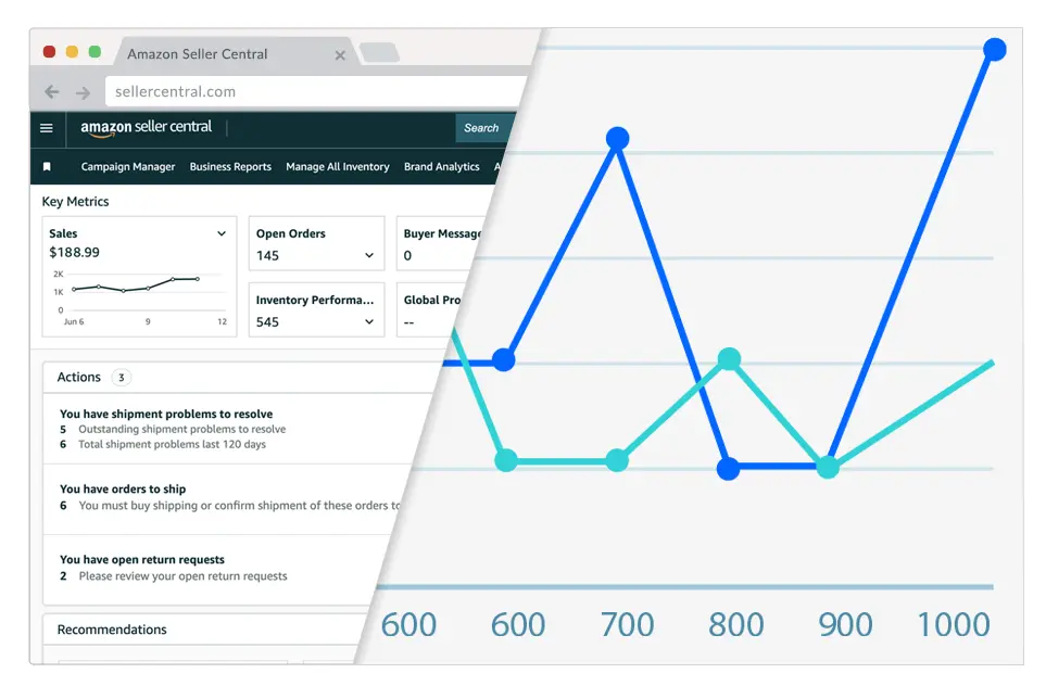 Seller Central Reporting and Monitoring - Full Service Management Amazon Agency